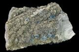Blue Cubic Fluorite on Smoky Quartz - China #142446-2